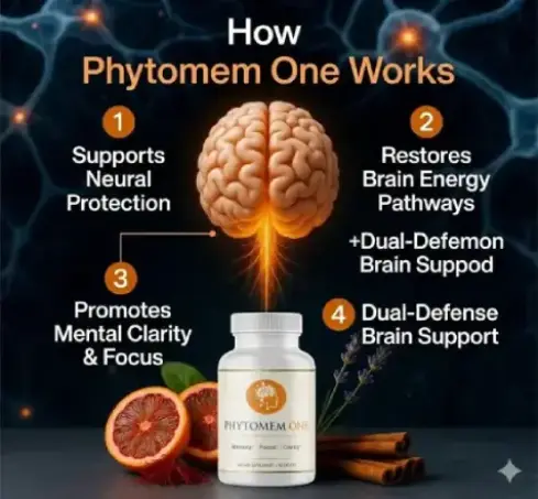 How does Phytomem One work diagram